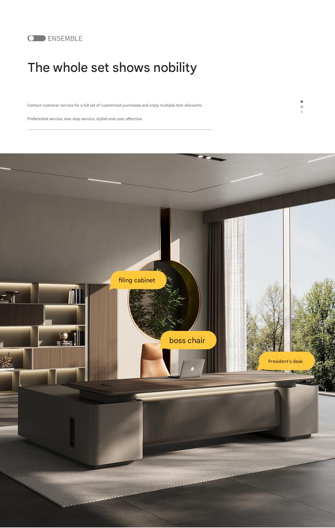 Boss Office Background Cabinet Light Luxury File Cabinet Data Cabinet Simple Modern Bookcase Locker Floor Cabinet Bookshelf