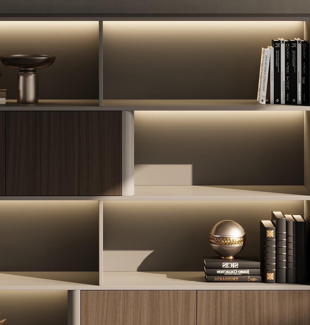 Boss Office Background Cabinet Light Luxury File Cabinet Data Cabinet Simple Modern Bookcase Locker Floor Cabinet Bookshelf